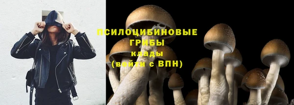 не бодяженный Алзамай
