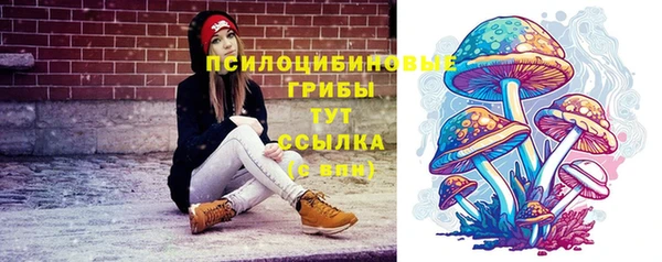 не бодяженный Алзамай