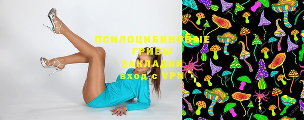 не бодяженный Алзамай