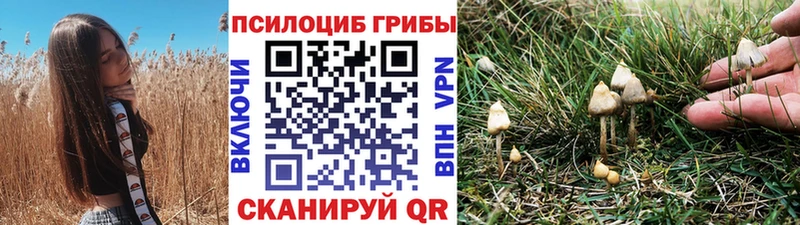 Псилоцибиновые грибы мицелий  что такое наркотик  Сольвычегодск 